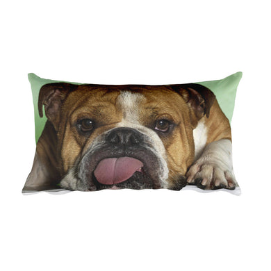 Bull Dog Pillow