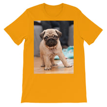 Pug t-shirt