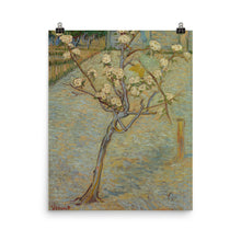 Van Gogh poster